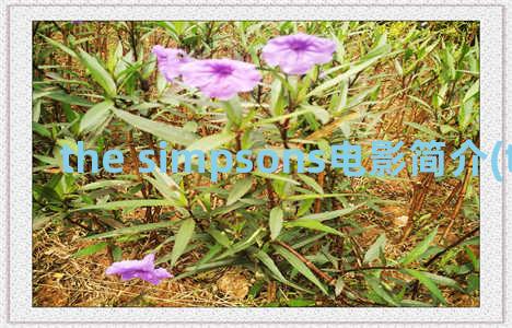the simpsons电影简介(the simpsons百度云)
